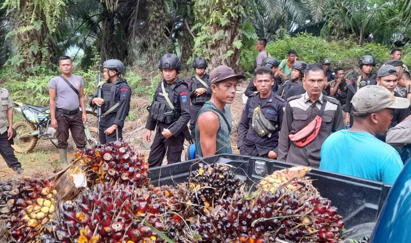 Korban Kekerasan PT DDP Terus Bertambah, Pemerintah Pusat Diminta Segera Selesaikan 