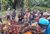 Korban Kekerasan PT DDP Terus Bertambah, Pemerintah Pusat Diminta Segera Selesaikan 