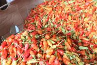 Cabai Rawit Merah.