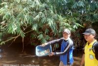 Kades Ulak Pandan melakukan pengecekan sungai yang terdapat limbah, Jumat, (09/08/2024)