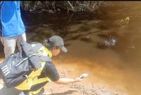 Pemerintah setempat mengambil ikan mati akibat limbah Minggu (11/08/2024)