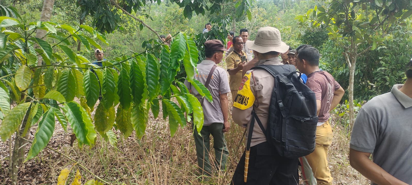 Anggota dan Warga Cek Lokasi Munculnya Harimau