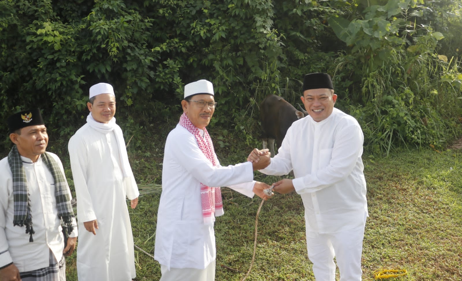 Bupati Seluma saat penyerahan hewan qurban ke Panitia masjid agung Baitul Falihin