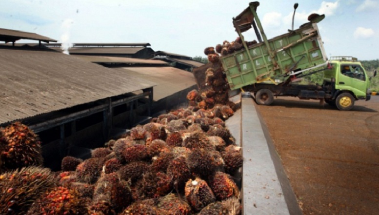 Salah Satu Pabrik Sawit di Bengkulu Foto/Dok