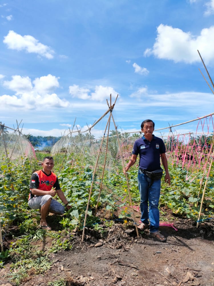 Ketahanan pangan Desa Air Kasai