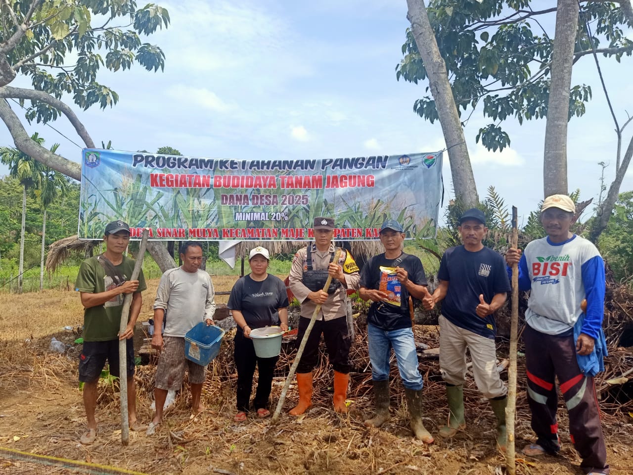 Penanaman jagung bersama kades, dan BPD sinar Mulya.