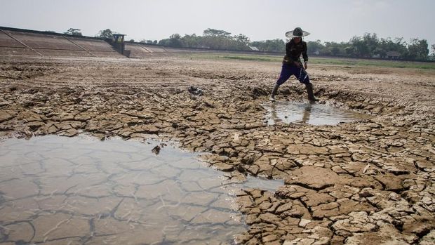 Kemarau Panjang Kekeringan Foto/Dok Net