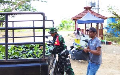 Babinsa Desa Kesongo, Serka Lasmidi, membantu menyalurkan 750 bibit sayuran dari DKPP Kabupaten Bojonegoro kepada warga dalam rangka penguatan ketahanan pangan melalui program TMMD ke-129 Kodim 0813/Bojonegoro, Desa Kesongo, Kecamatan Kedungadem, Kamis (6/8/2026). Foto: Deni Ari Pandi/Sumber TMMD Bojonegoro.