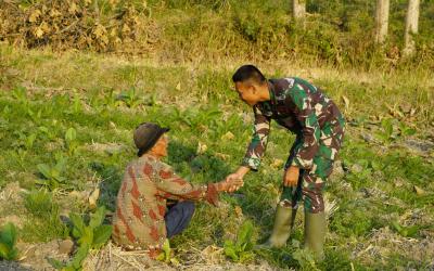 Di tengah kesibukan membangun jalan, drainase, dan rumah layak huni, sebuah momen sederhana di Desa Kesongo, Kecamatan Kedungadem, justru menjadi potret paling menyentuh dari pelaksanaan Program TNI Manunggal Membangun Desa (TMMD) ke-129 Kodim 0813/Bojonegoro.