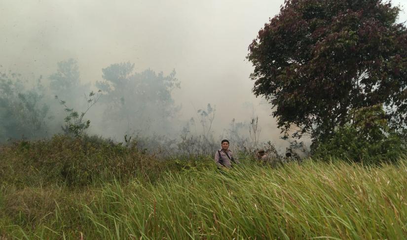 Peristiwa kebakaran hutan dan lahan (Karhutla) terjadi di lahan Kelurahan Rimbo Pengadang Kecamatan Rimbo Pengadang Kabupaten Lebong, Minggu (17/9/2023) siang, sekira pukul 12.15 WIB.
