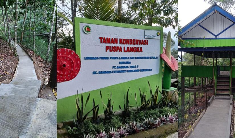 Angkasa Pura II Bengkulu Realisasikan Program TJSL Pengembangan Taman Konservasi Bunga Rafflesia Arnoldi Kepahiang. 