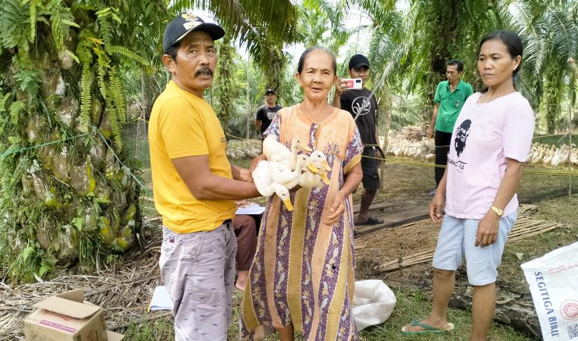 Sriani, kades talang rami saat bagikan Entok/ Bebek ke masyrakat