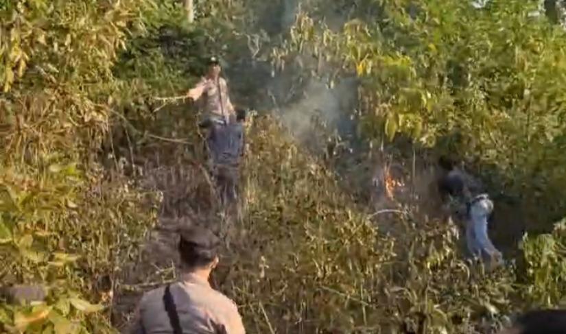 Kebakaran yang melanda lahan tak jauh dari pemukiman di Desa Linau Kecamata Maje Kabupaten kaur, Selasa 4 September 2023 sore menghebohkan warga setempat.