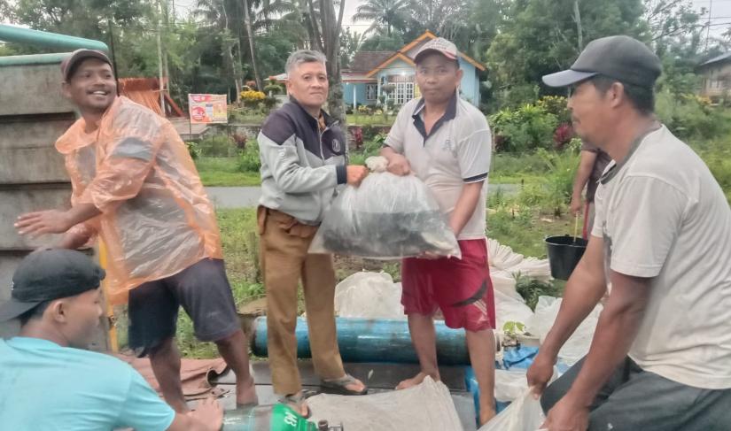 Proses panen raya Budi daya ikan nila, kegiatan ketahana pangan desa marga sakti 
