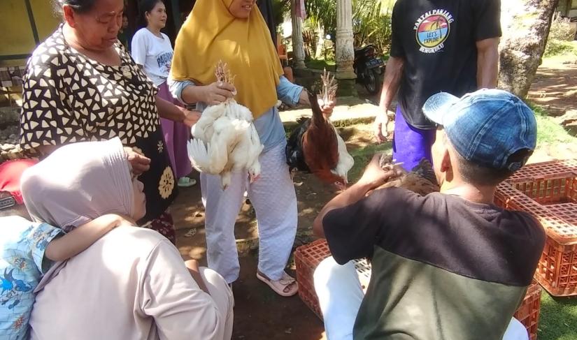 Pembagian bibit ayam desa talang ulu program ketahanan pangan"Redy Penarafflesia.com"