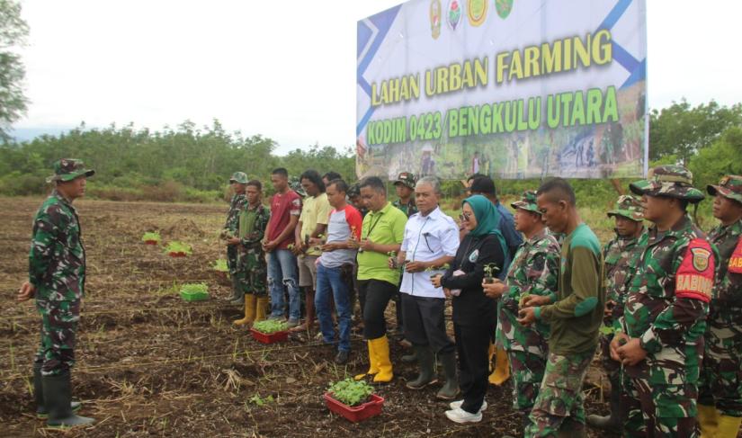 Dandim 0423/BU Siapkan Lahan Urban Farming Dukung Program Makan Gratis Bergizi." Redy Penarafflesia.com "
