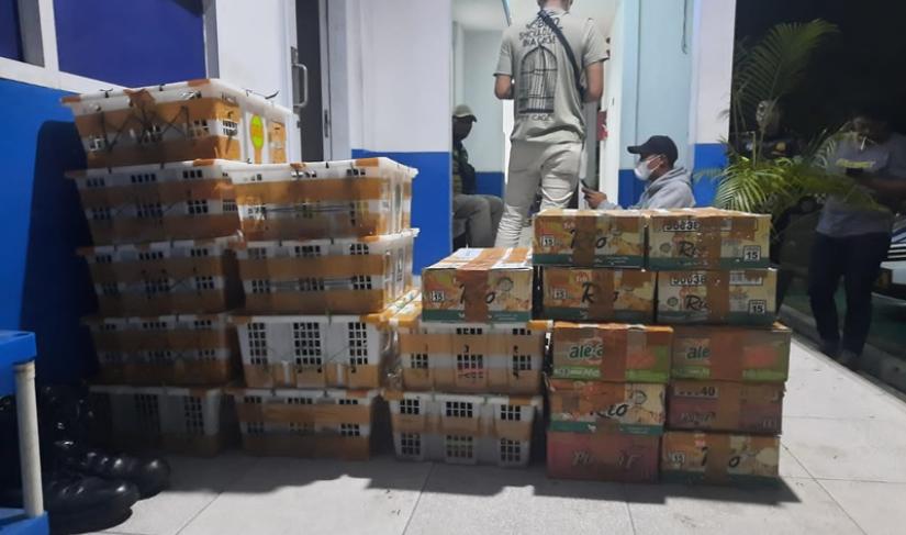 BKSDA Bengkulu Gagalkan Pengiriman Satwa Liar Ilegal untuk Pasar Jakarta.