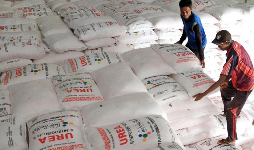 Gudang distributor pupuk bersubsidi di Bengkulu (foto : Fatmala/Penarafflesia).