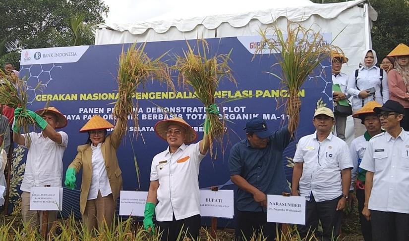 Dokumentasi tanam padi bersama Anggota DPR RI dan Perwakilan Bank Indonesia.