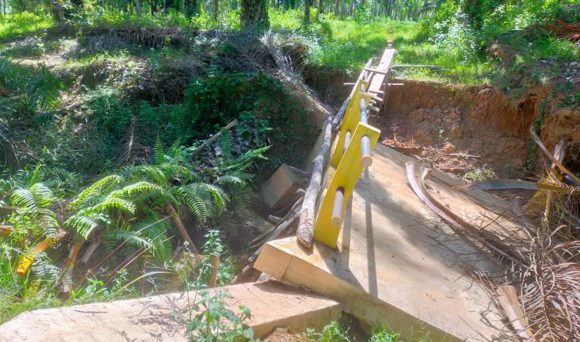 Tampak jembatan penghubung pemukiman dengan areal pertanian di Desa Talang rio Kecamatan air rami kabupaten Mukomuko ambruk. (AGUS/Penarafflesia.com)