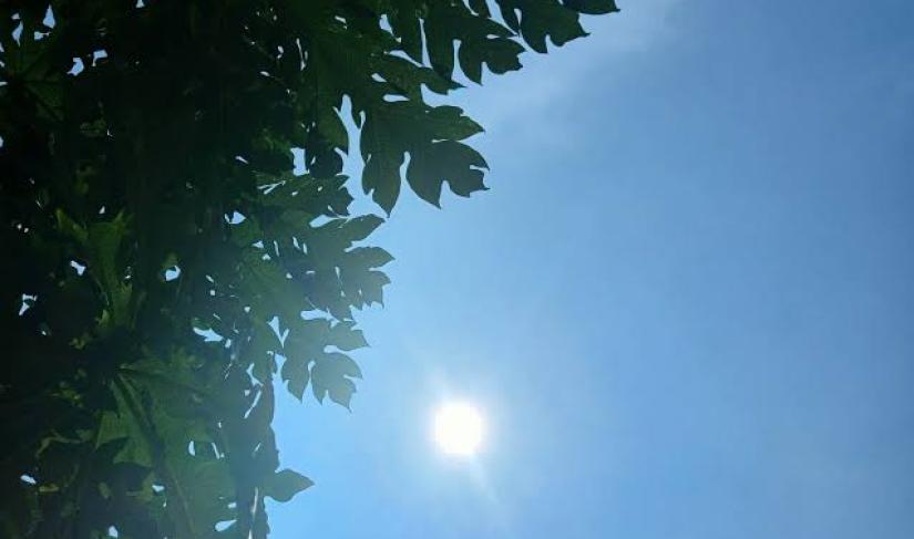 Cuaca terik dan udara panas di Bengkulu disebabkan penguapan maksimal. (Foto Ilustrasi: Fatmala/Penarafflesia.com).