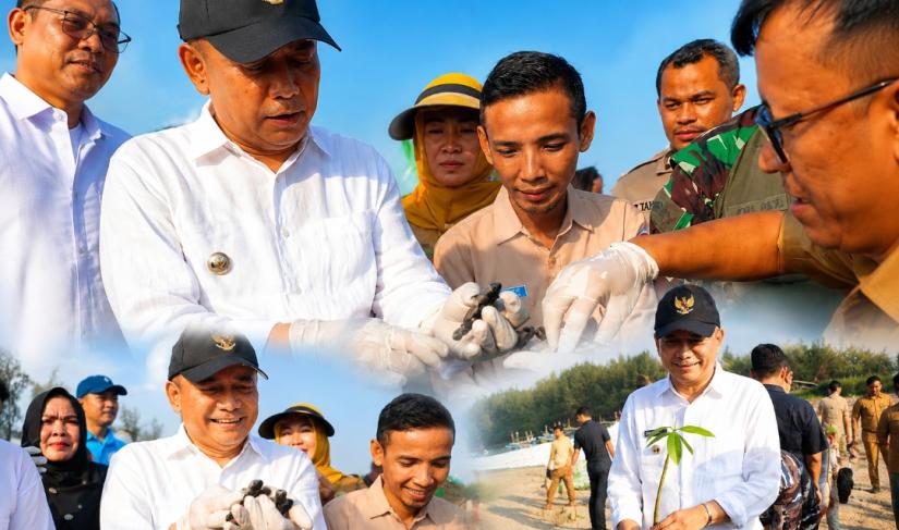 Pemkab Bengkulu Tengah peringati Hari Mangrove Sedunia ke-11 di Balai Konservasi Penyu Alun Utara, Desa Pekik Nyaring, Kecamatan Pondok Kelapa, Selasa (28/7/2026).