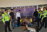 Aksi pencurian hewan ternak (Curnak) terjadi di wilayah Kabupaten Bengkulu Tengah (Benteng) pada Jumat 15 September 2023 pukul 04.05 WIB.