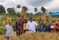 Bupati BU Menghadiri panen raya padi bersama masyarakat kelurahan kemeumu