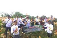Panen raya pemdes Sido Urip bidang ketahan pangan
