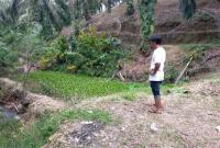 Waduh!! Program Ketahanan Pangan 2022 Desa Sumber Sari Tanpa Adanya PK Foto/Dok: