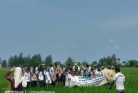 Dinas pertanian kaur Gerbak sawah di desa Gedung Menung Rabu,(07/08/2024)