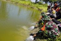 Satgas TMMD menggelar kegiatan penebaran 11 ribu benih ikan di embung desa sebagai langkah meningkatkan potensi perikanan sekaligus menjaga kelestarian ekosistem perairan, Kamis (16/7/2026).