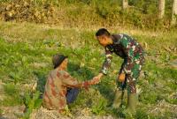 Di tengah kesibukan membangun jalan, drainase, dan rumah layak huni, sebuah momen sederhana di Desa Kesongo, Kecamatan Kedungadem, justru menjadi potret paling menyentuh dari pelaksanaan Program TNI Manunggal Membangun Desa (TMMD) ke-129 Kodim 0813/Bojonegoro.